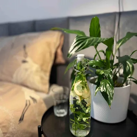 Apartament Zielona Ochota Apartment Warsaw